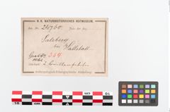 Etiketten zu Bronzebrillenfibel (NHMW-PRAE-024760)